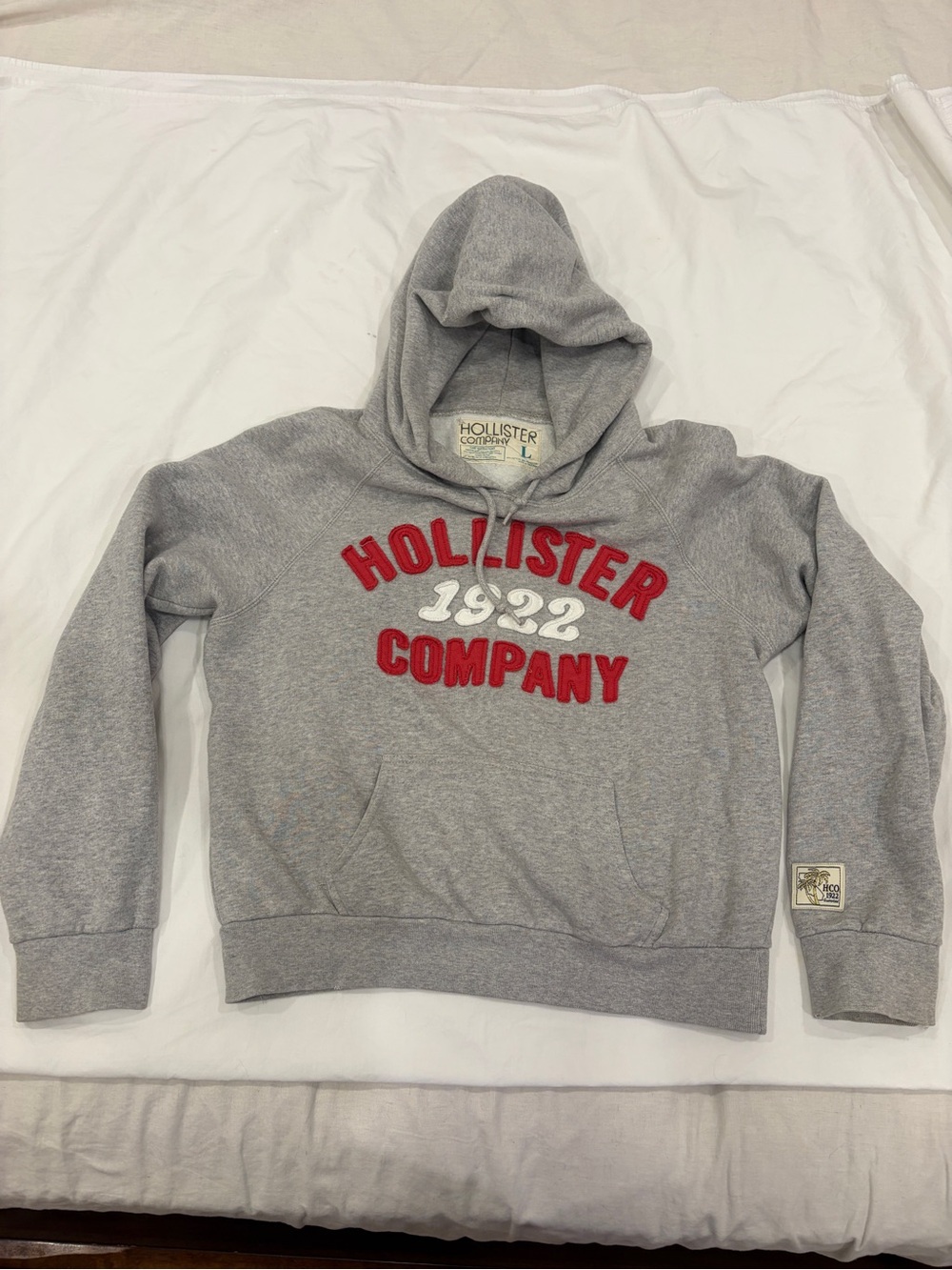 Vintage Hollister Gray Hooded Sweatshirt